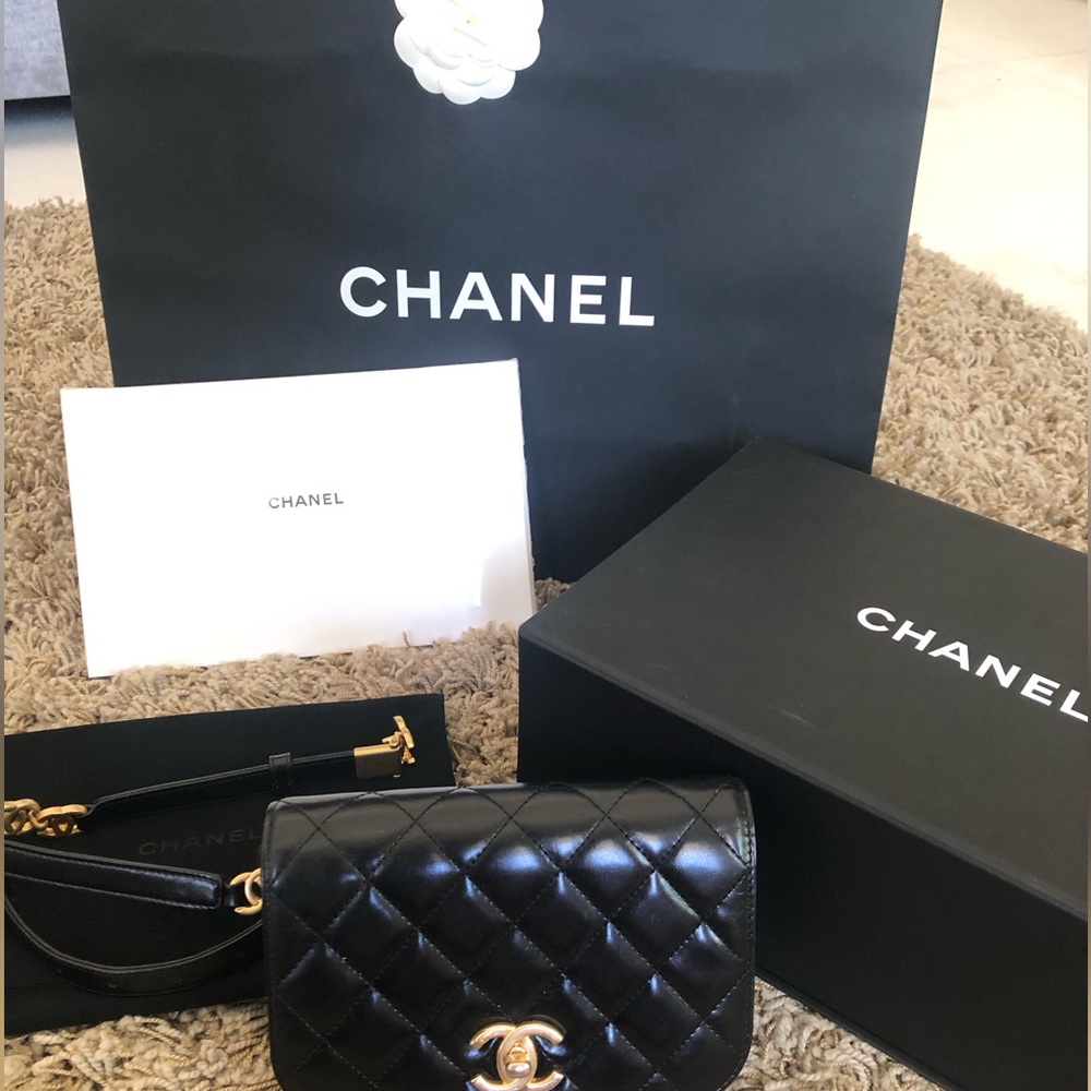 CHANEL Black Quilted Lambskin/ Suede Mini Belt Bag with Gold CC Hardware - Picture 3 of 16